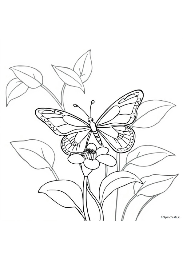 Páginas Fáciles De Mariposas Para Colorear