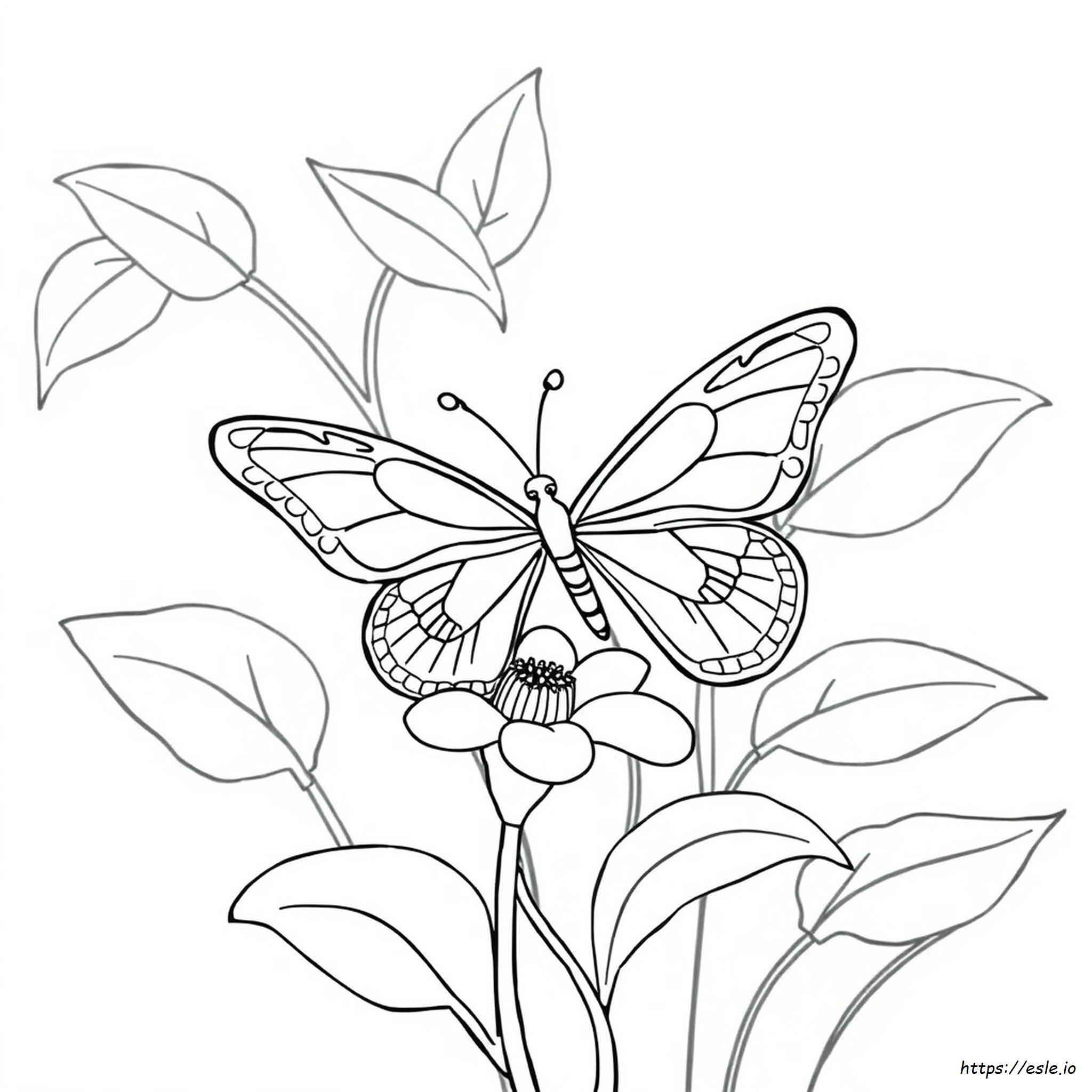 Einfache Schmetterling Ausmalbilder
