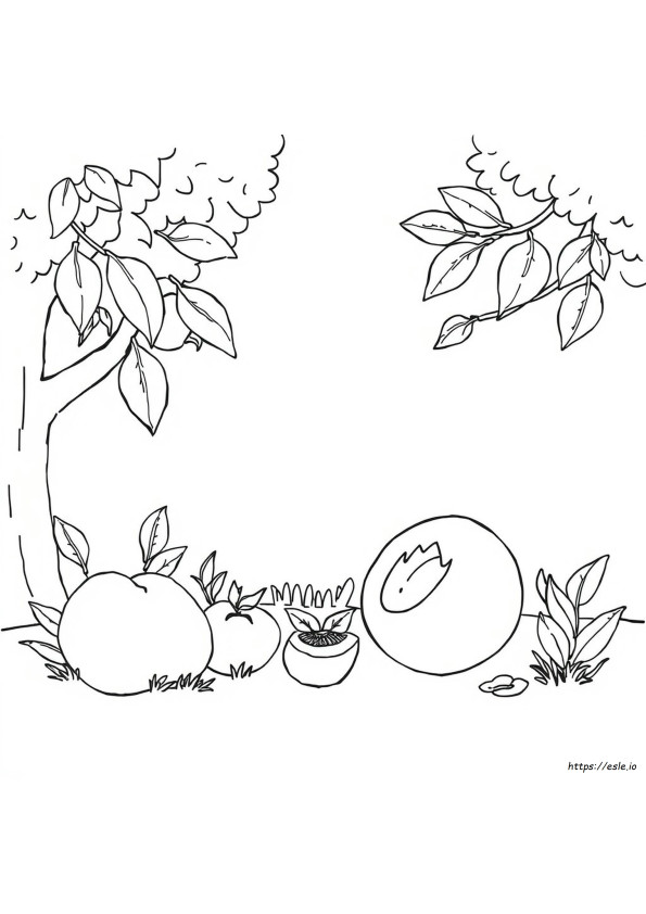 What Colour Goes On Peach