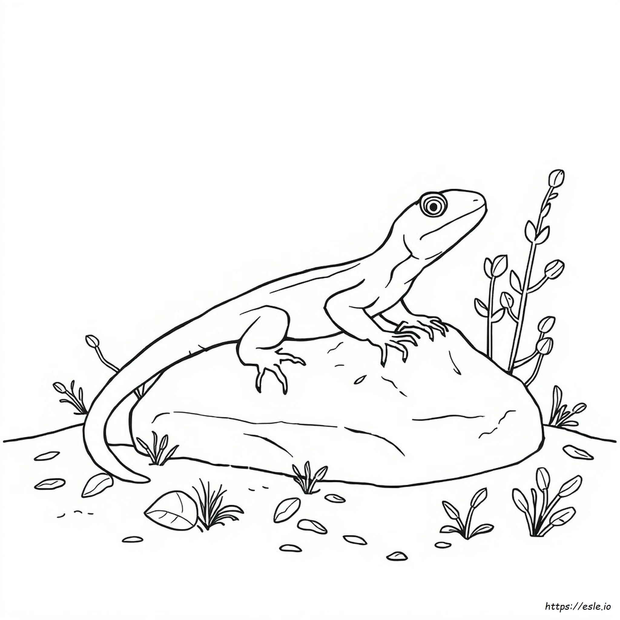 Skink Coloring Page