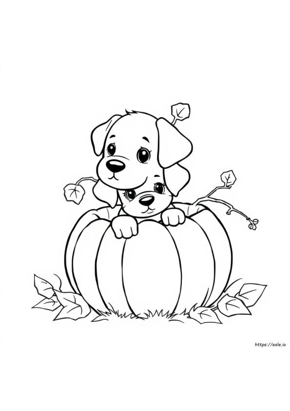 Coloriage Chiot Dans Une Citrouille