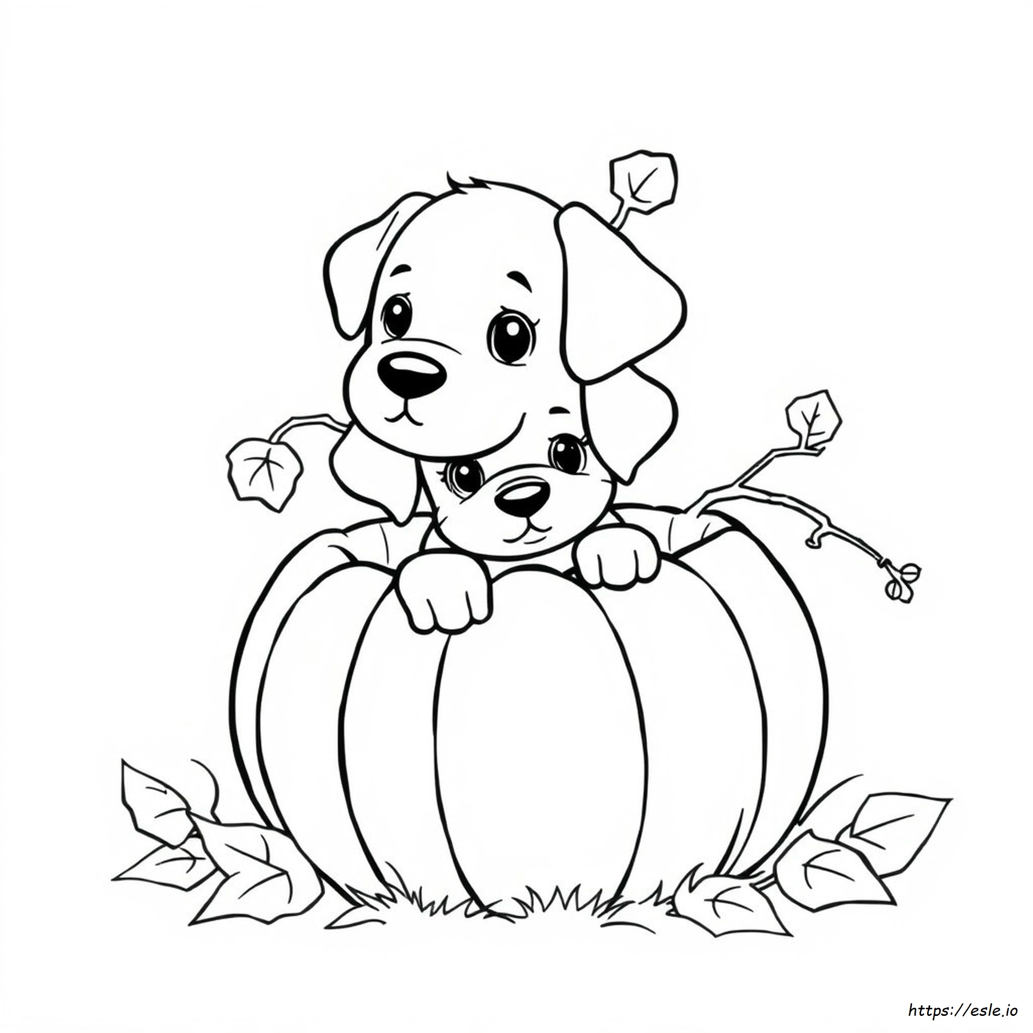 Puppy In A Pumpkin Coloring Page