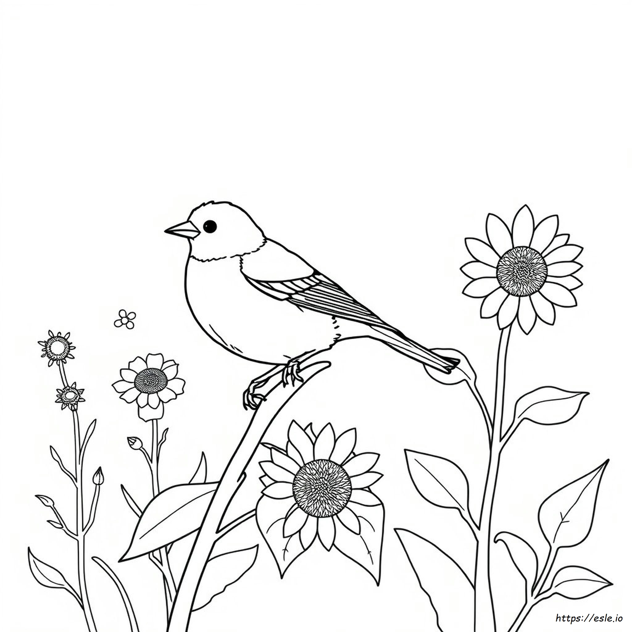 Eastern Goldfinch Coloring Page