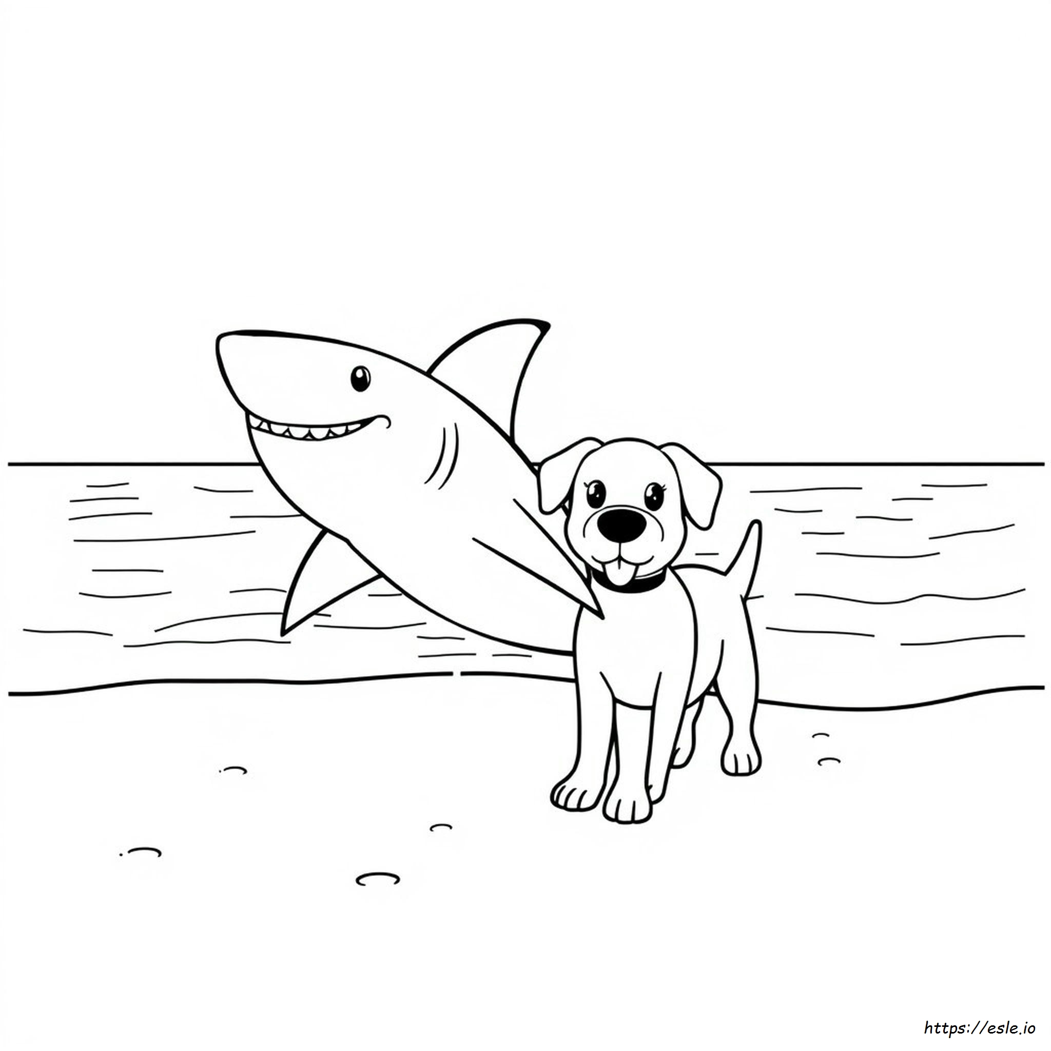 Cane Squalo Disegni Da Colorare