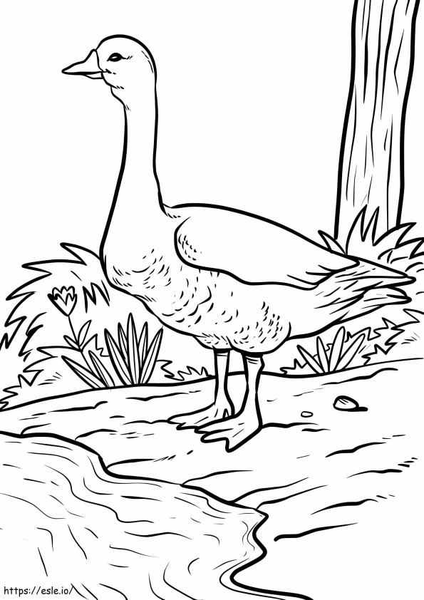 Big Goose coloring page