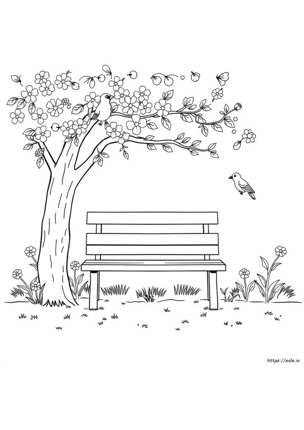 Parque Para Colorir