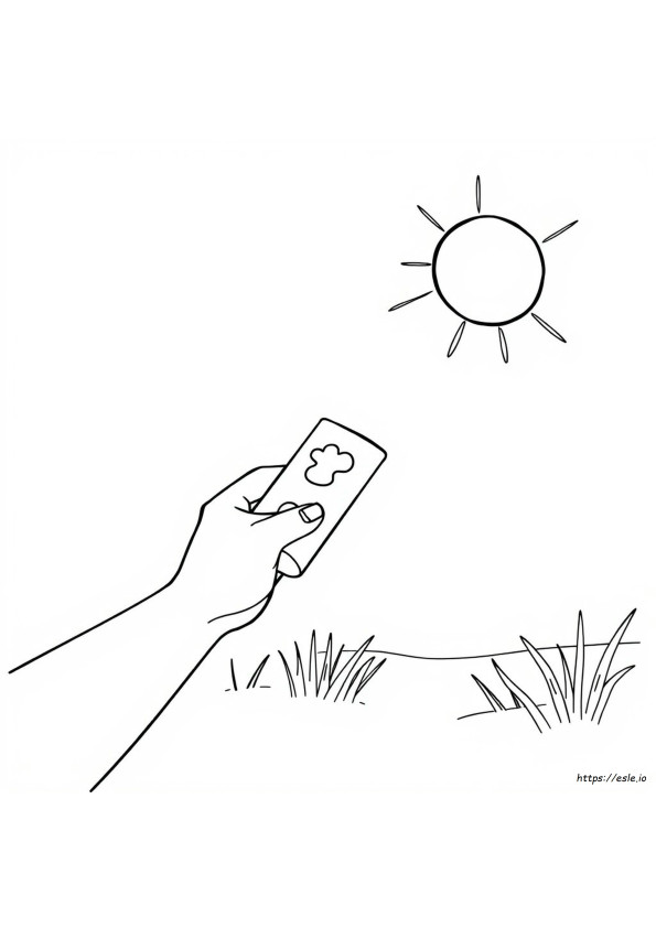 Aurinkovoide Värityskuva