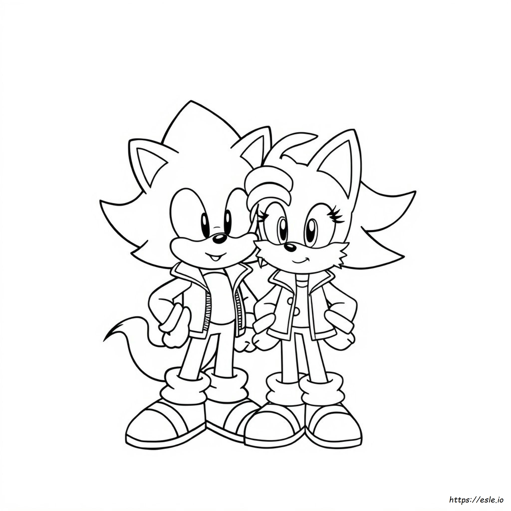 Disegni Da Colorare Di Sonic Hedgehog, Tails, Sonic E Tails Con Le Giacche