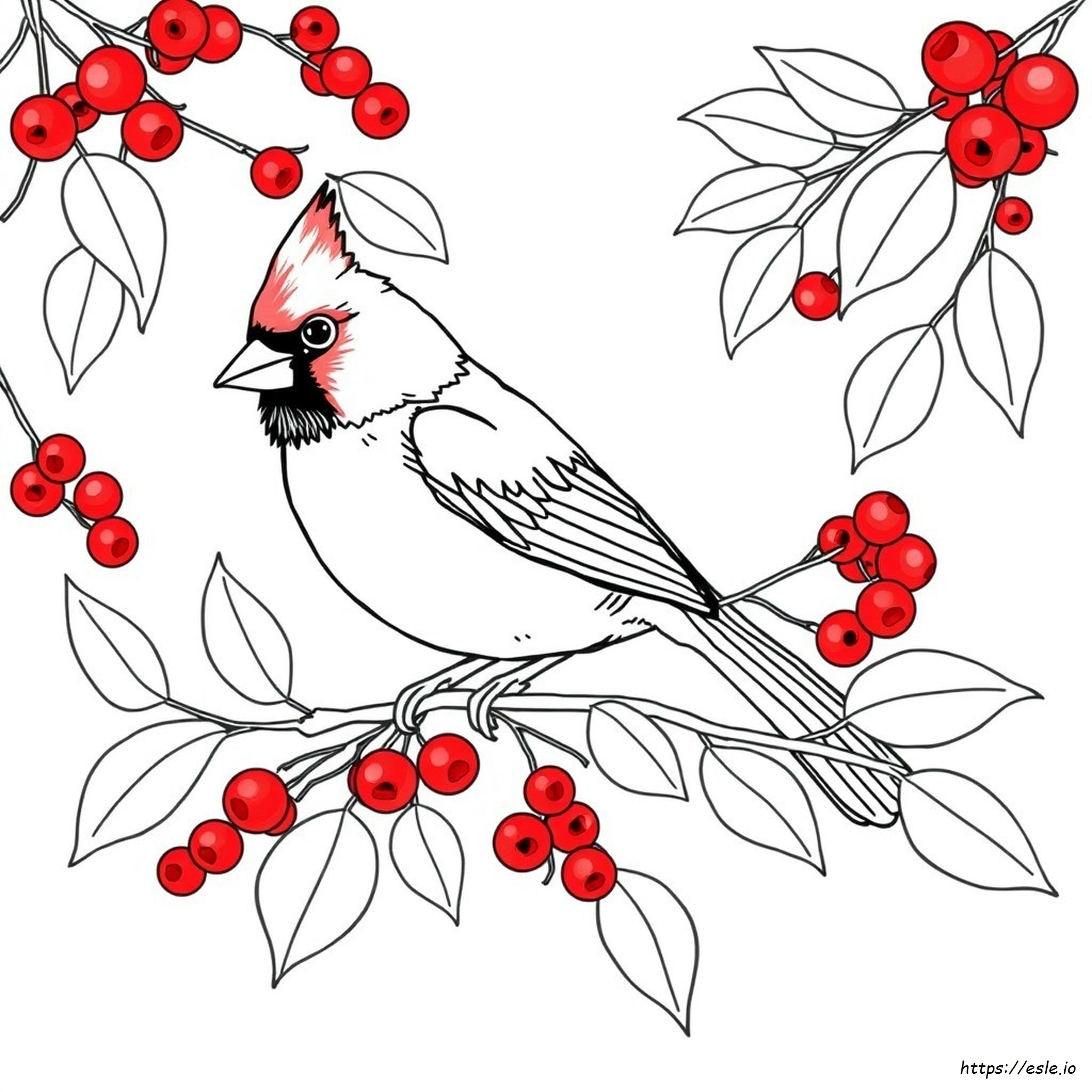 How To Paint A Cardinal In Watercolor