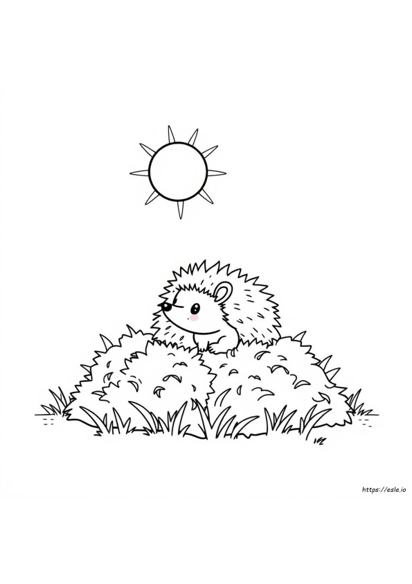 Hedgehog Coloring