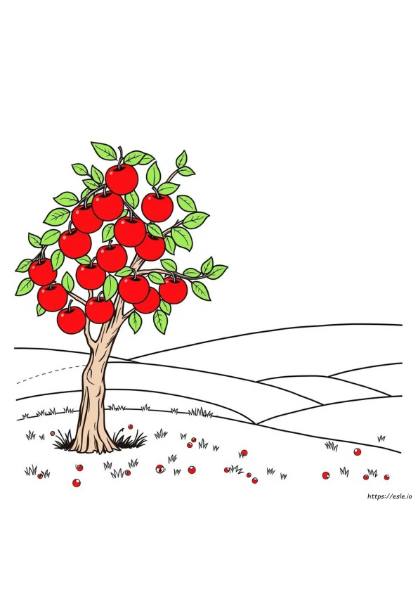 Mela Da Colorare E Stampare