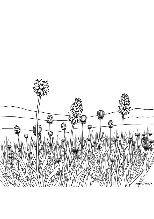 Kolorowanka Dzikie Kwiaty Indiański Pędzel