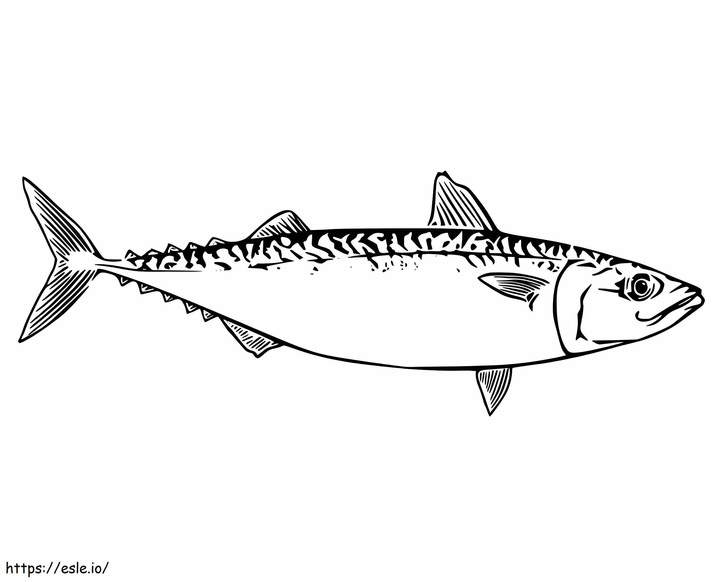 Makrelen-Thunfisch ausmalbilder