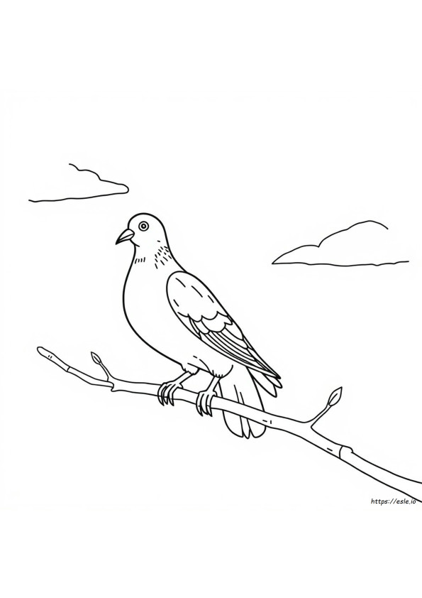 Como Colorir Um Pombo