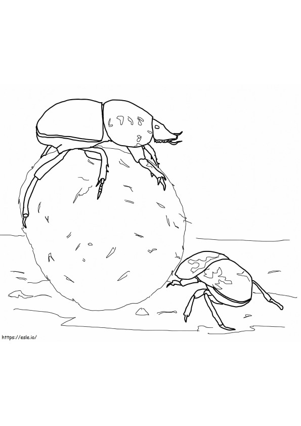 Besouros de estrume que não voam para colorir