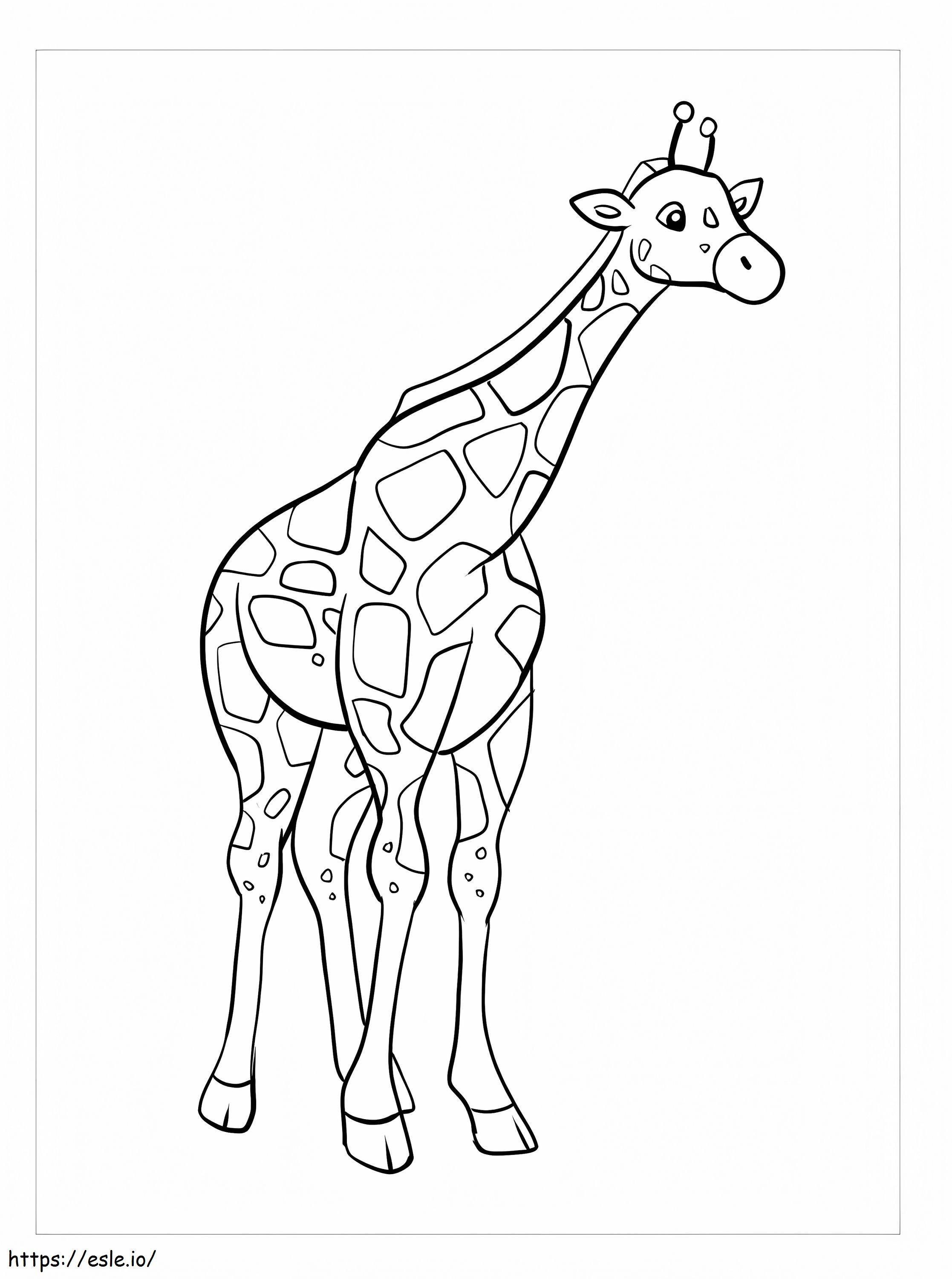 Bella giraffa da colorare
