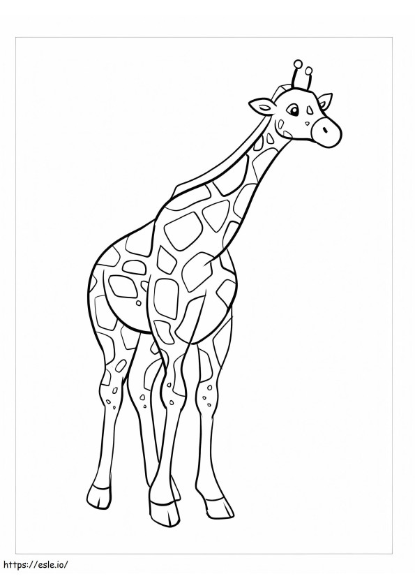 linda girafa para colorir