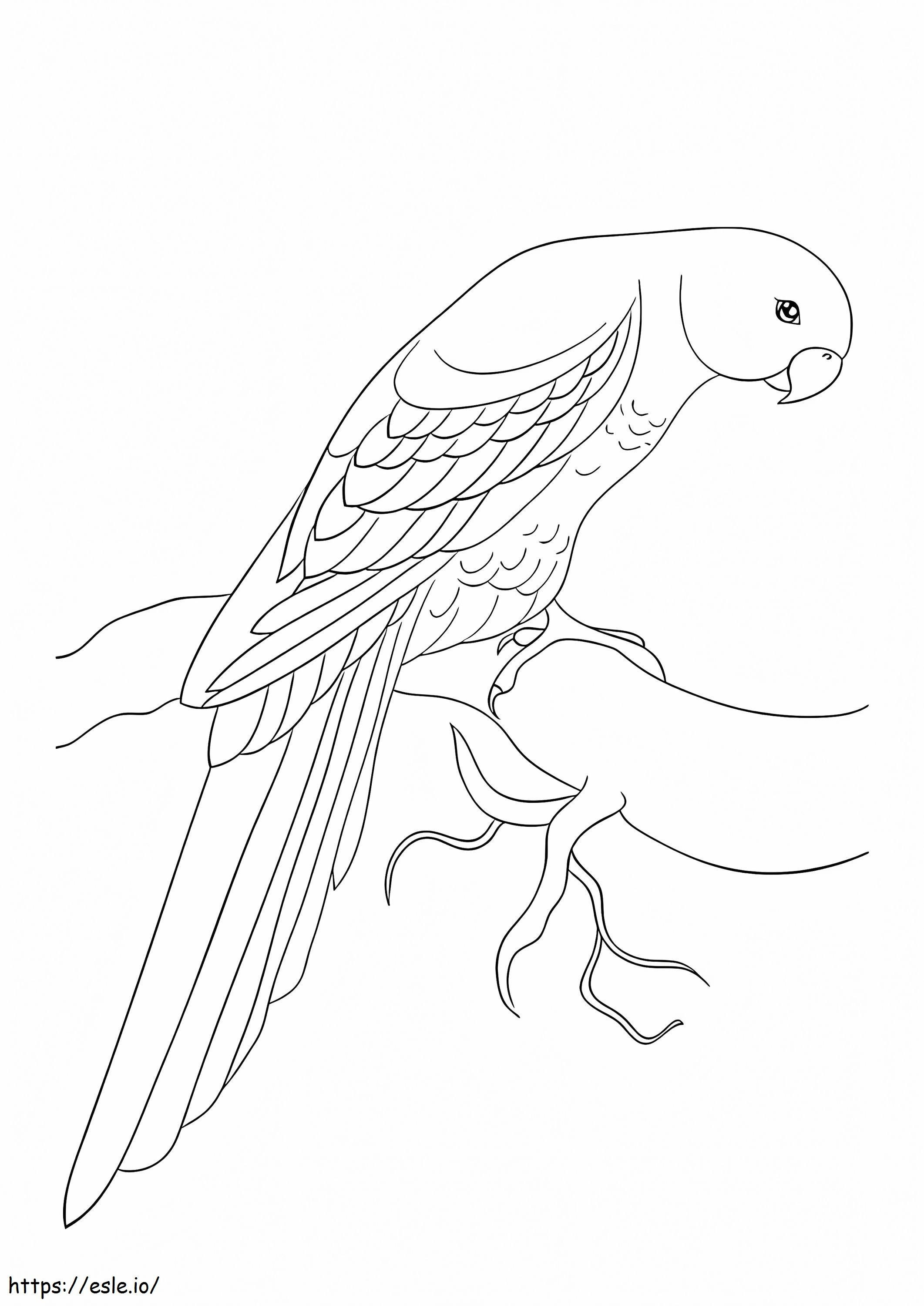 lindo papagaio para colorir