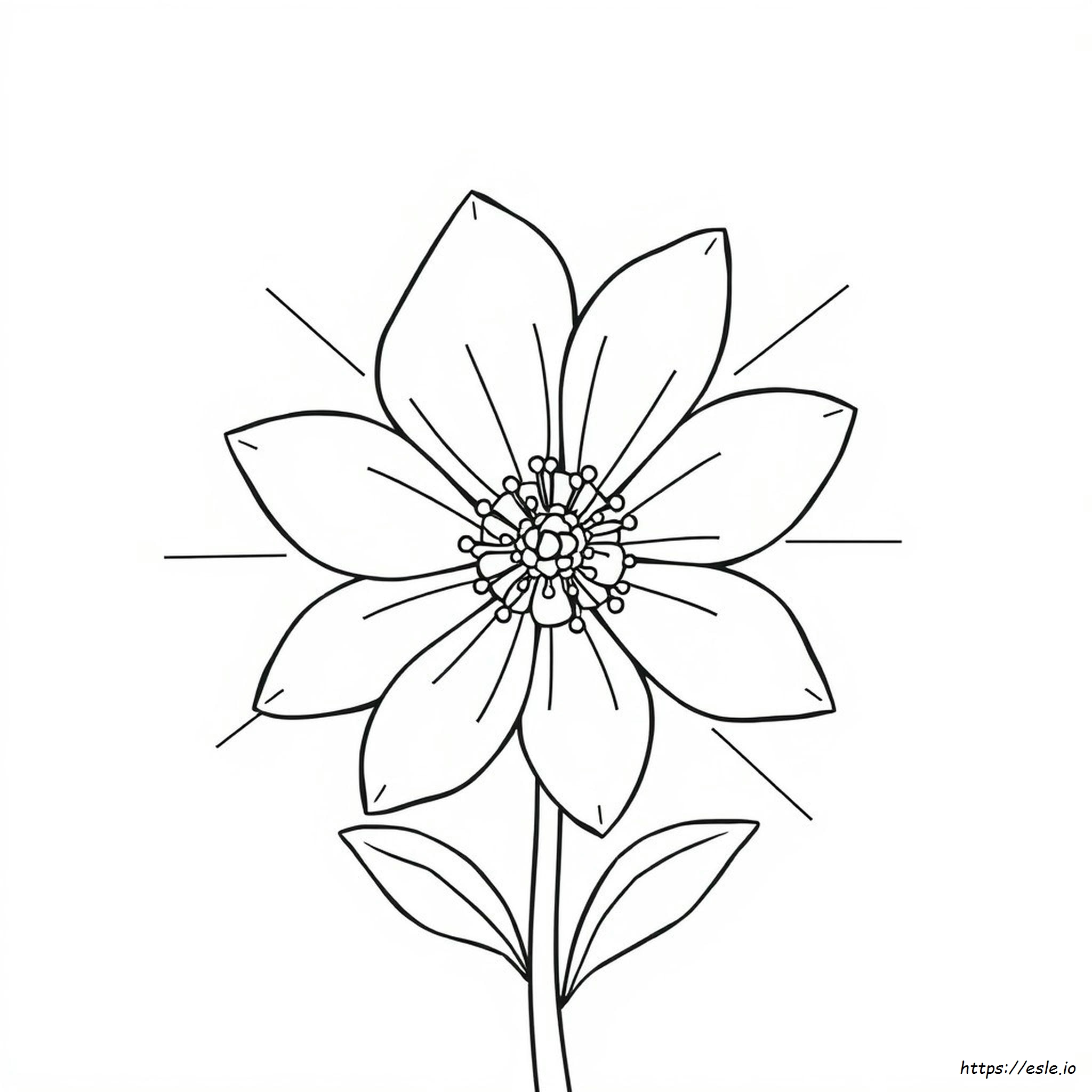 Parti Di Un Fiore Da Colorare
