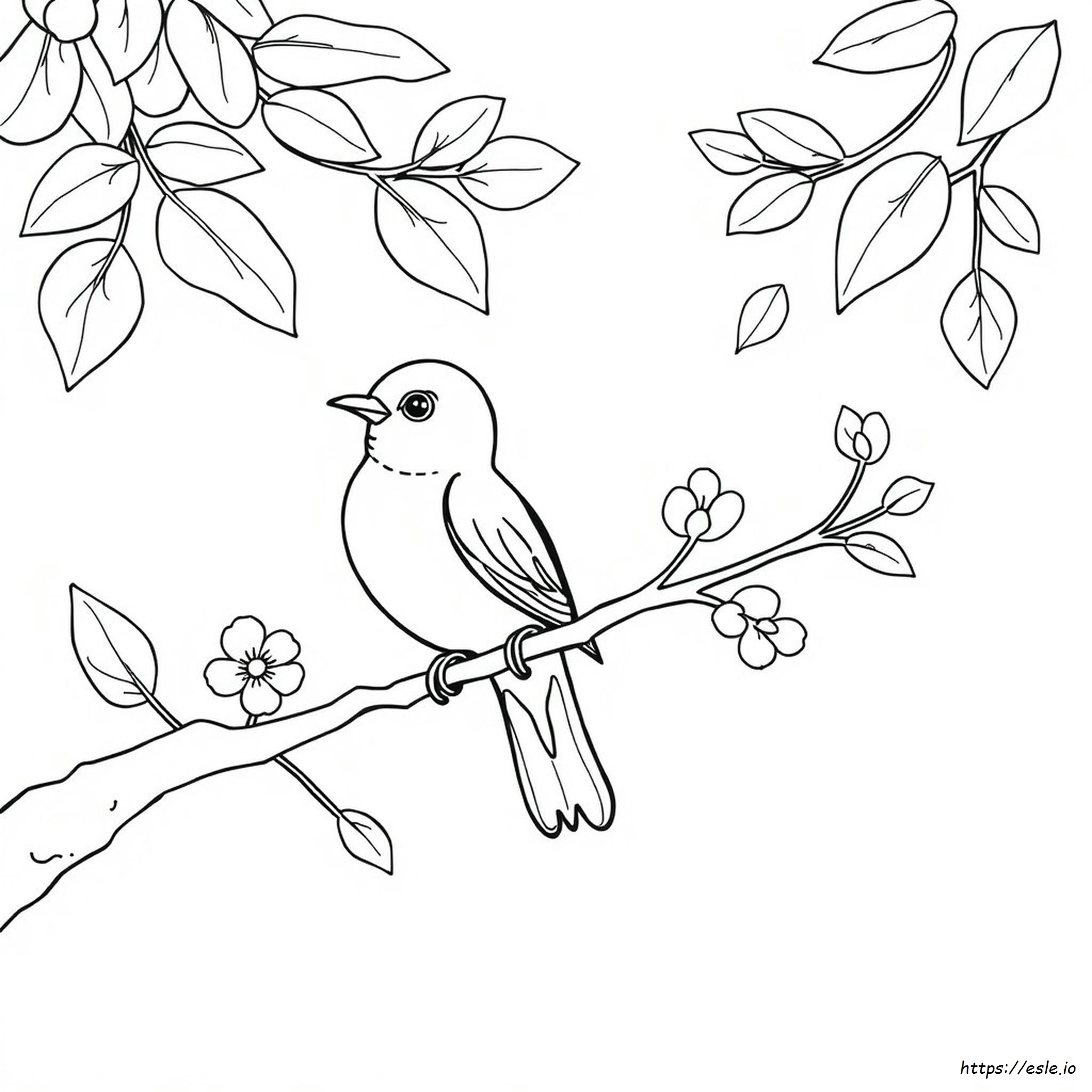 Printable Coloring Pages Of Birds