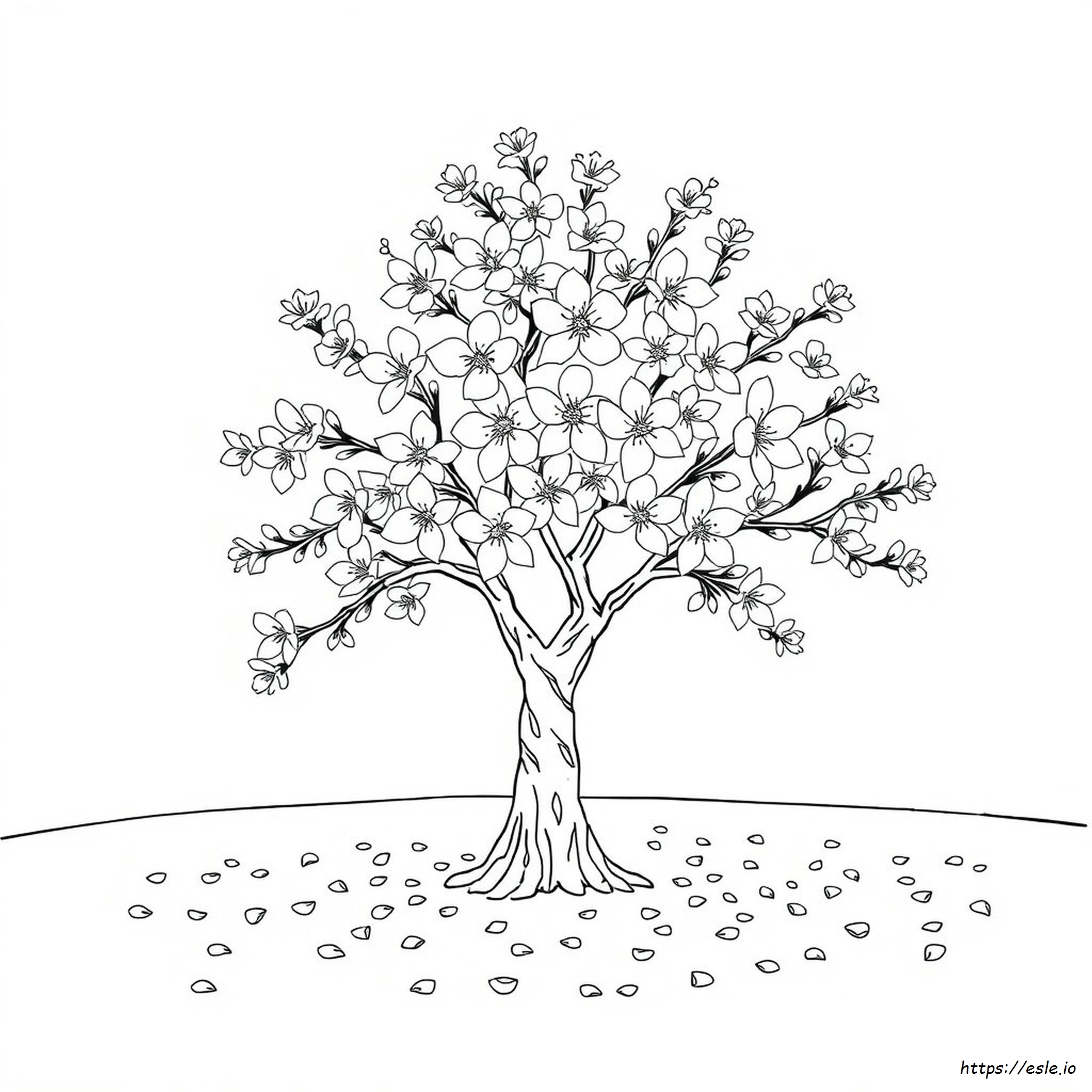 Disegni Da Colorare Di Alberi Di Ciliegio In Fiore