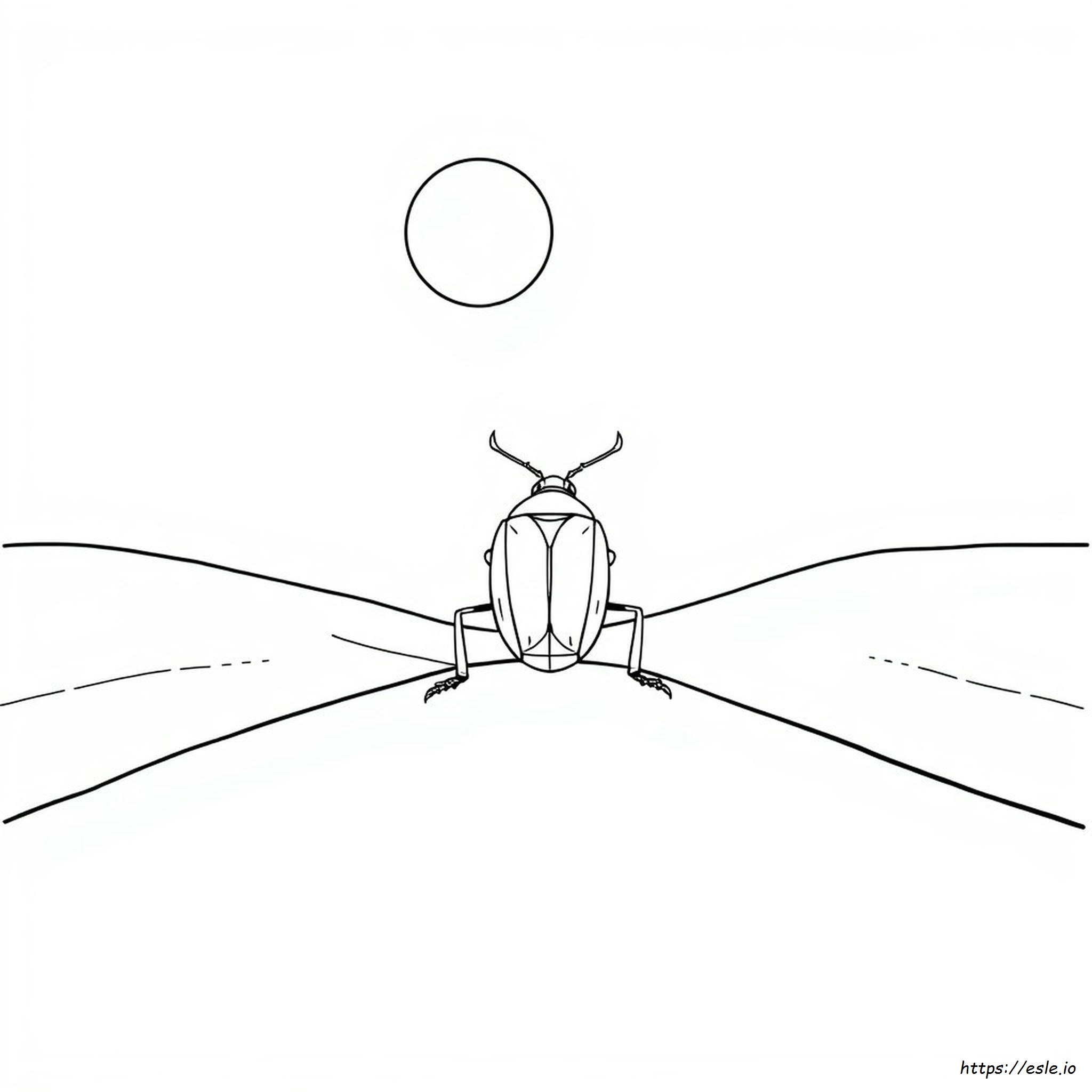 Scarab Beetle Coloring Page