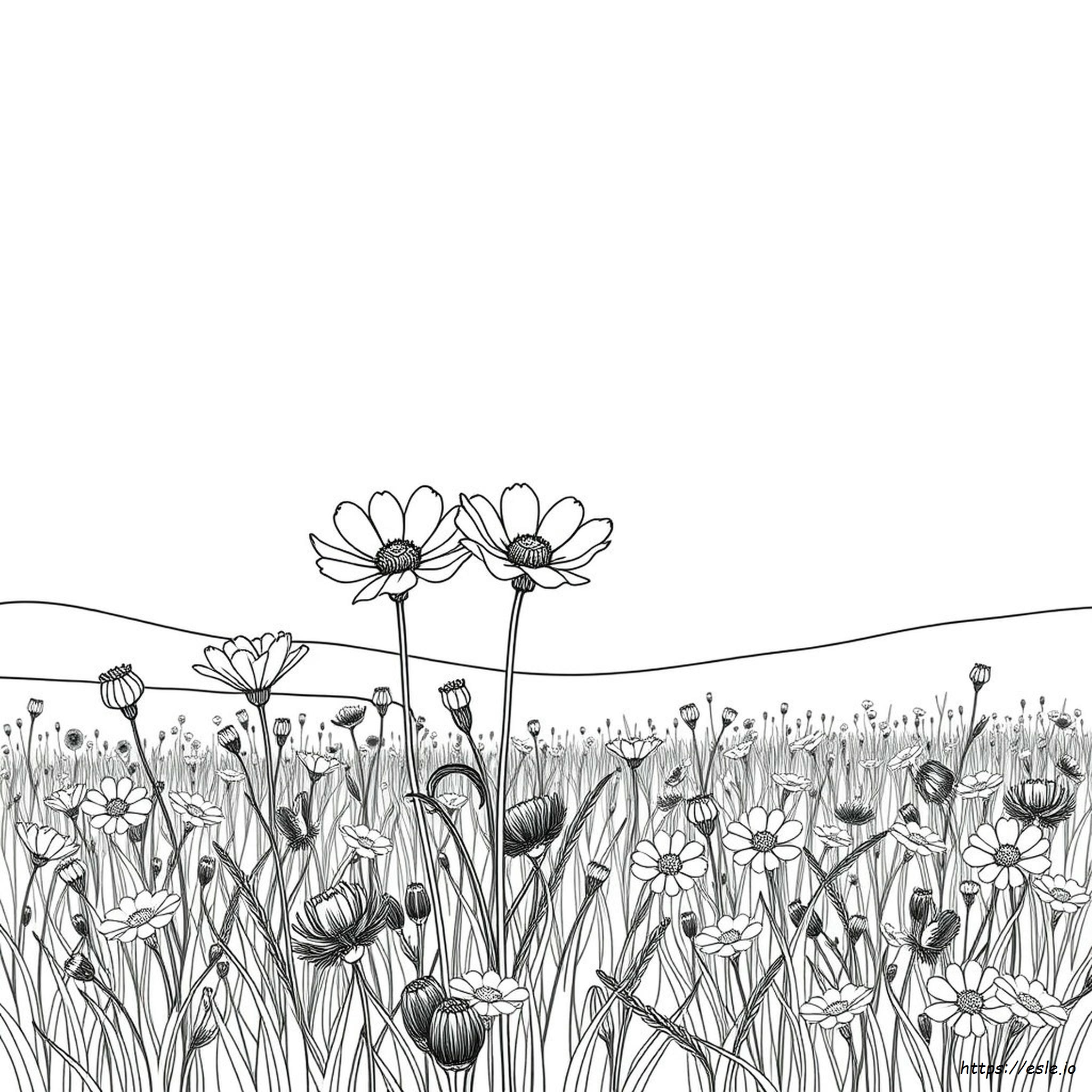 Wyoming State Flower Coloring Page
