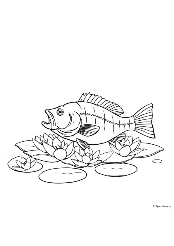 Coloriages De Poisson-Basse À Imprimer