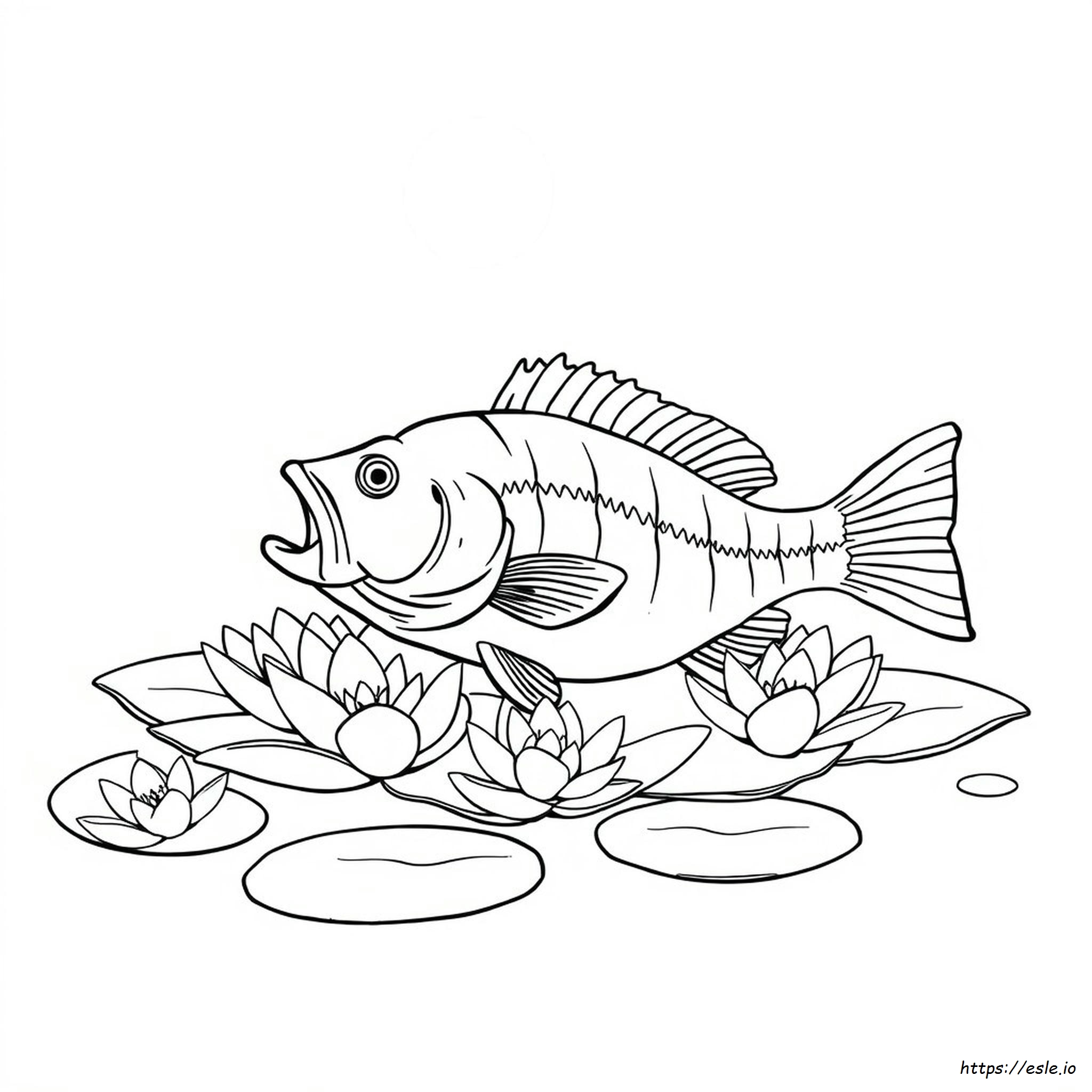 Printable Bass Fish Coloring Pages