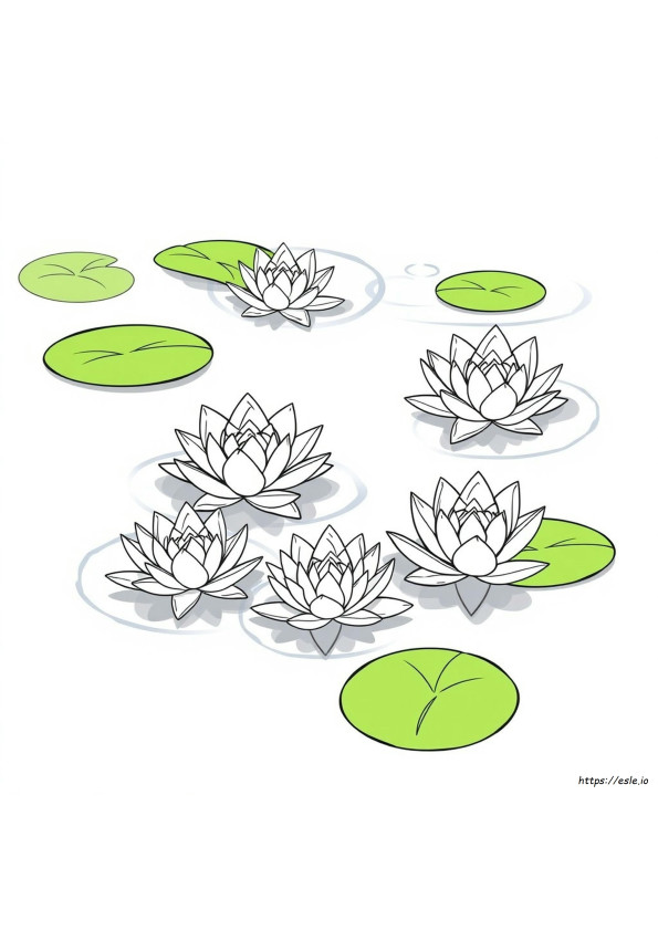Coloring Pages Of Water Lilies