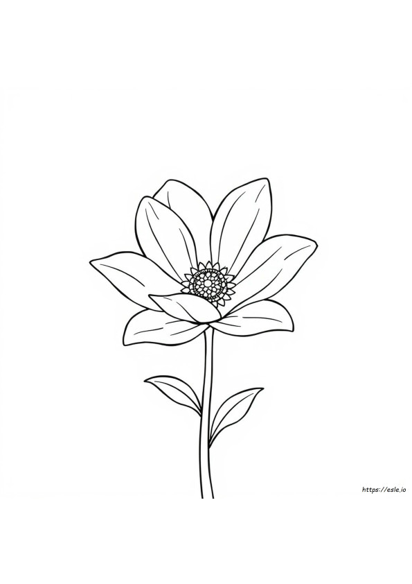 Adult Coloring Pages Transparent Background