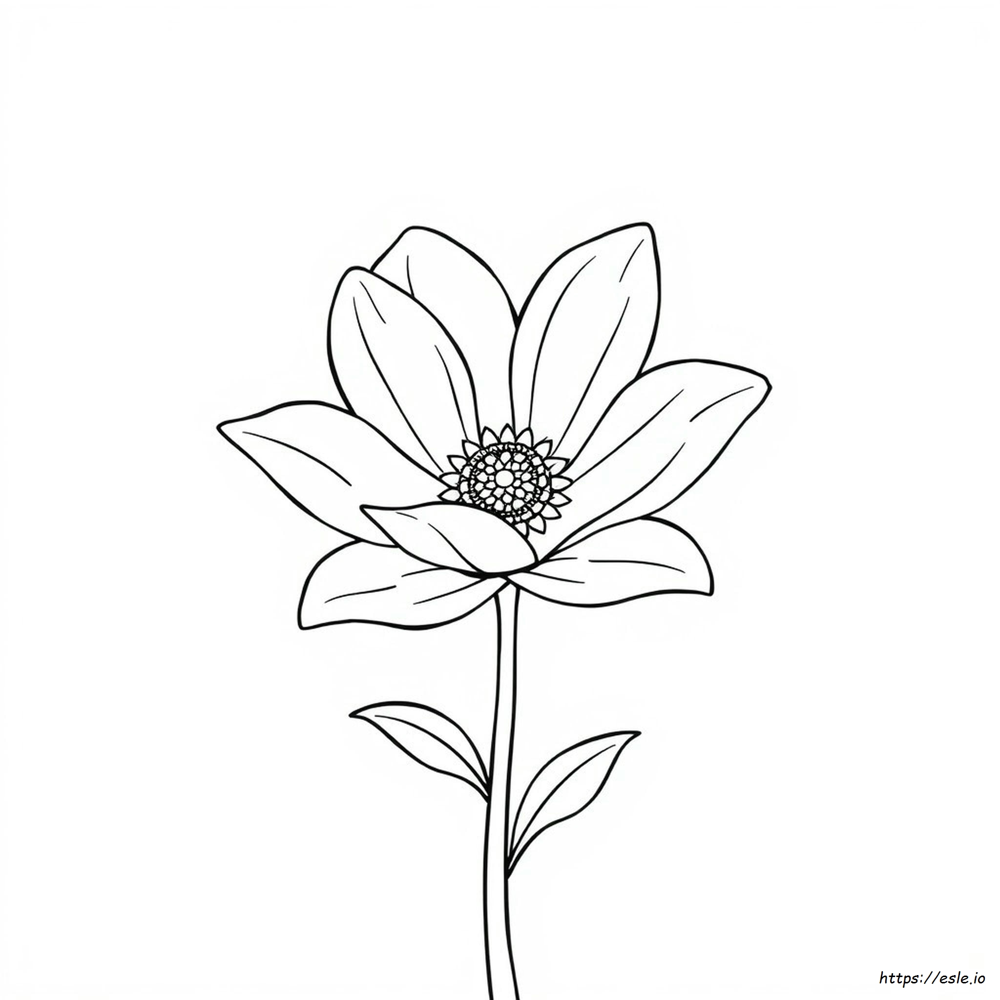Disegni Da Colorare Per Adulti Sfondo Trasparente
