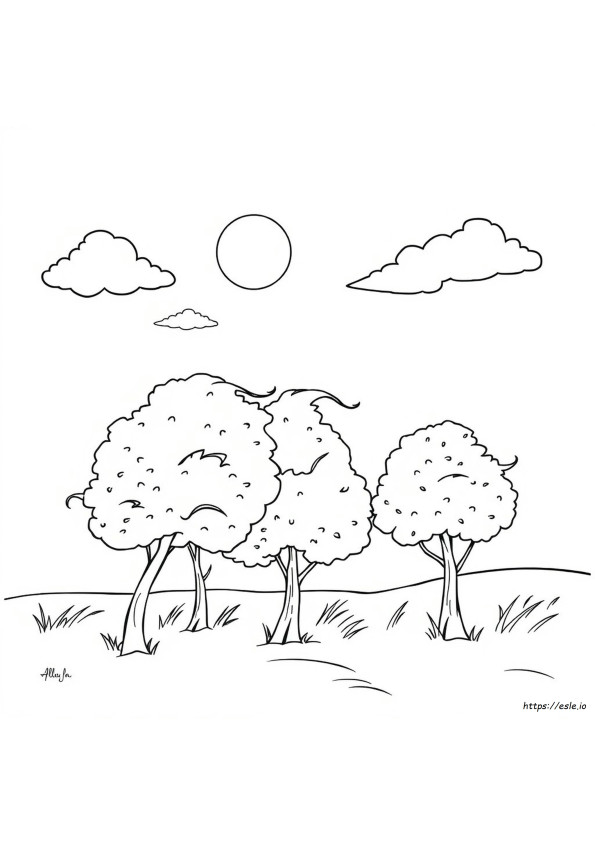 Natureza Para Colorir