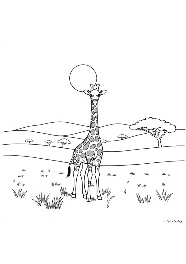 Giraffe Kleurplaat