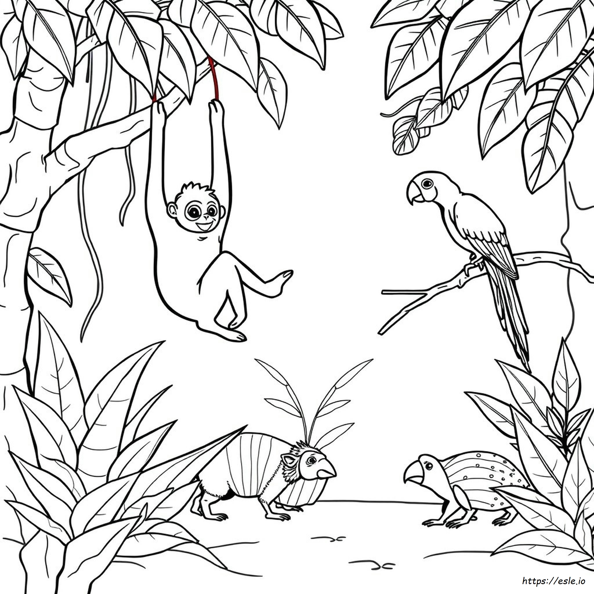 South American Animals Coloring Pages