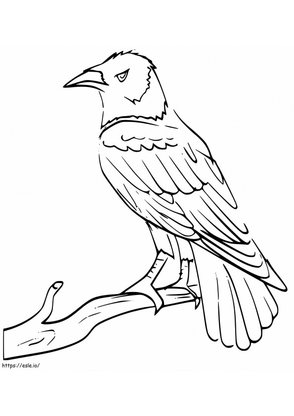 cuervo en una rama para colorear