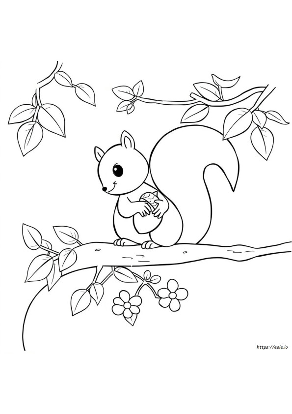 Squirrel Coloring Page Preschool