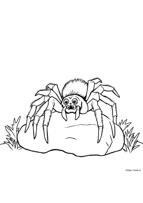 Tarantula Kleurplaat