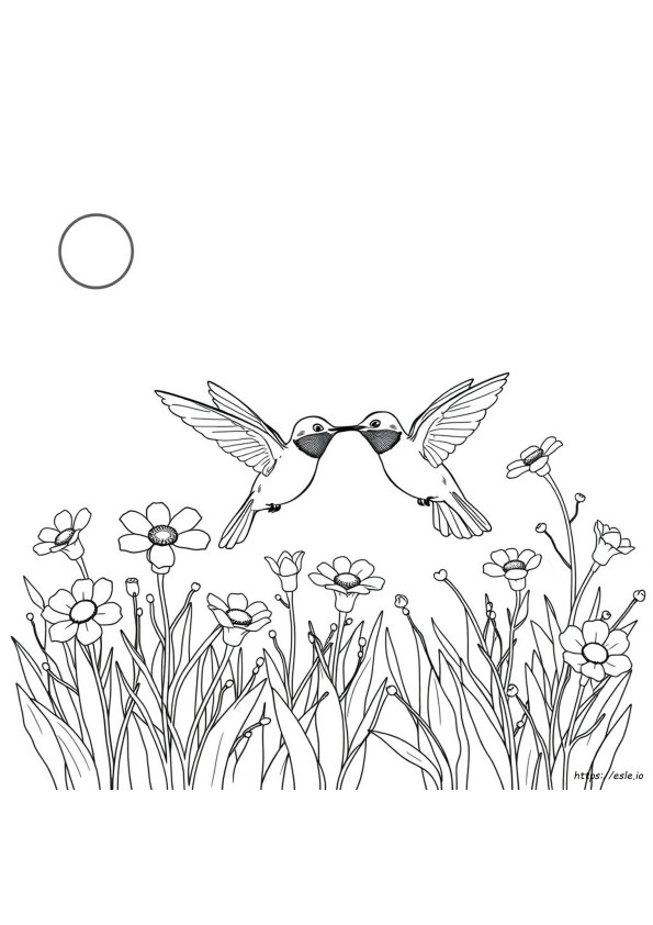 Coloriage Colibri À Gorge Rubis