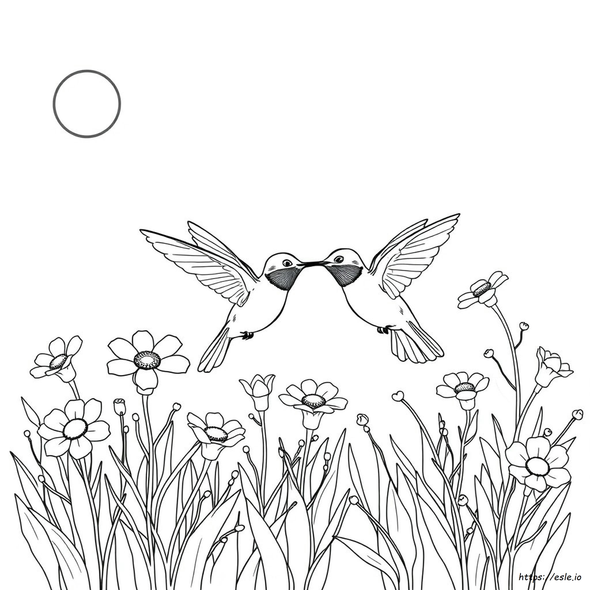 Colibrì Golarubino Da Colorare