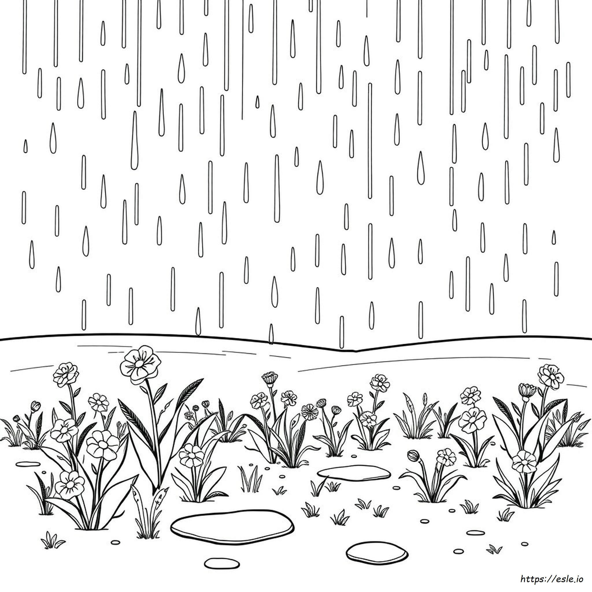 Regenzeit Ausmalbilder