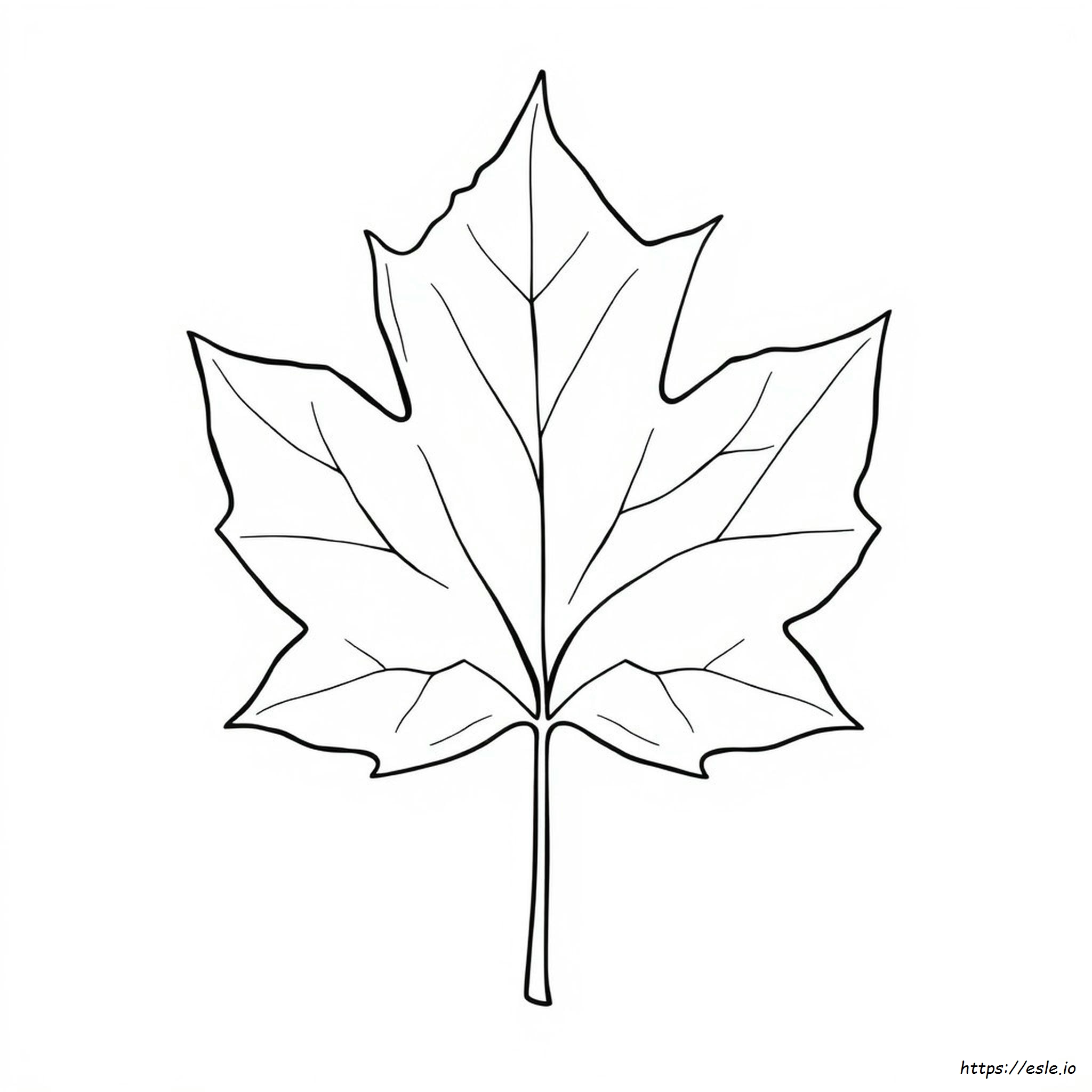 Parts Of A Leaf Montessori Coloring Page