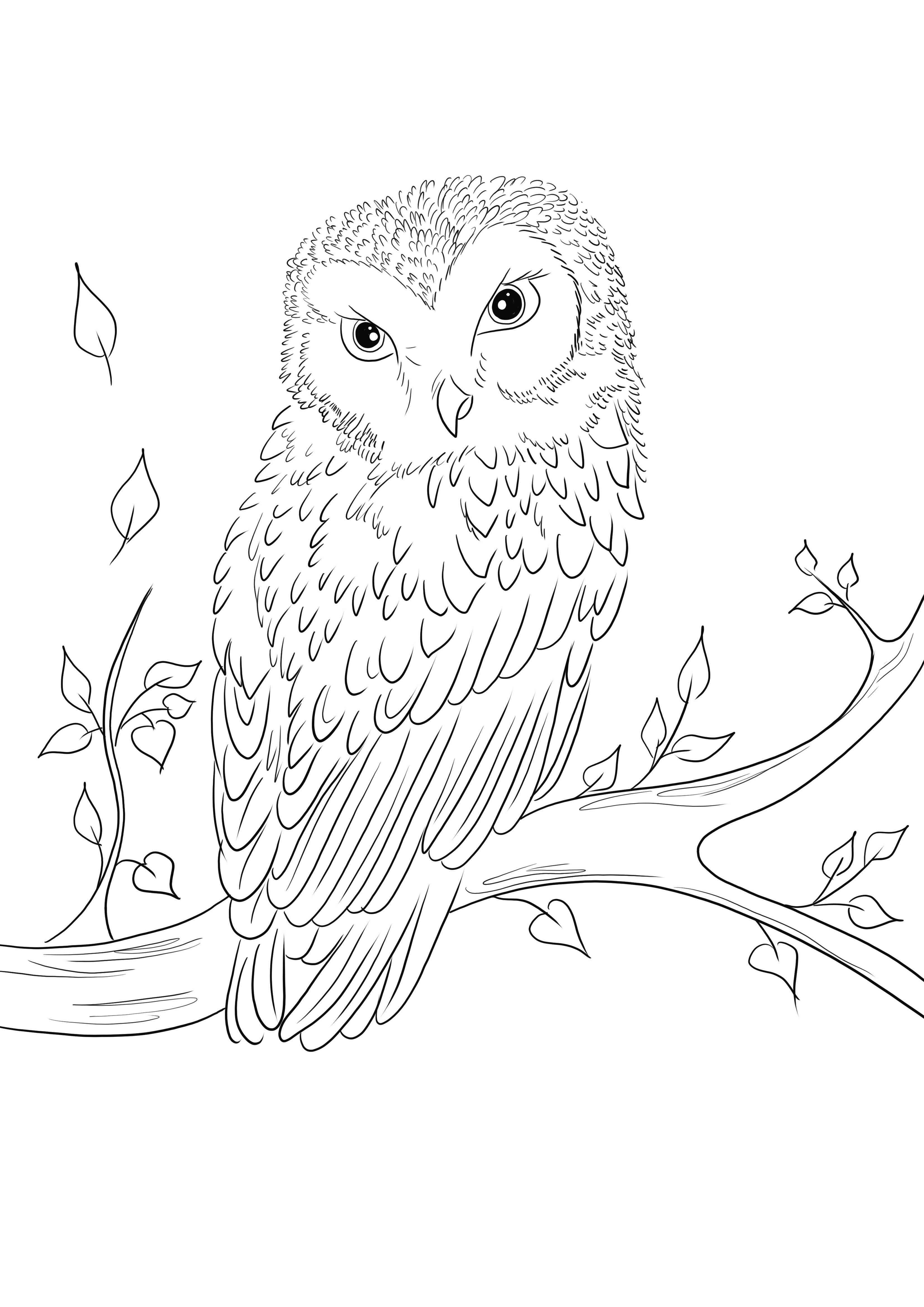 Our gorgeous Owl on a tree is ready to be printed for free and colored