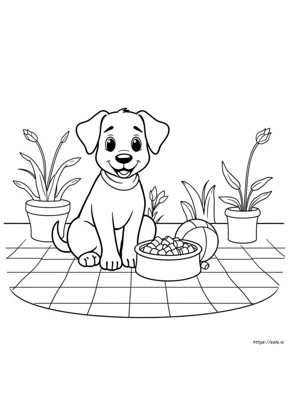 Free Printable Pet Coloring Pages