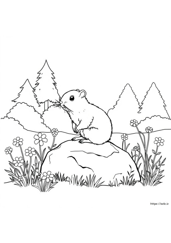 ミズハタネズミのぬりえ
