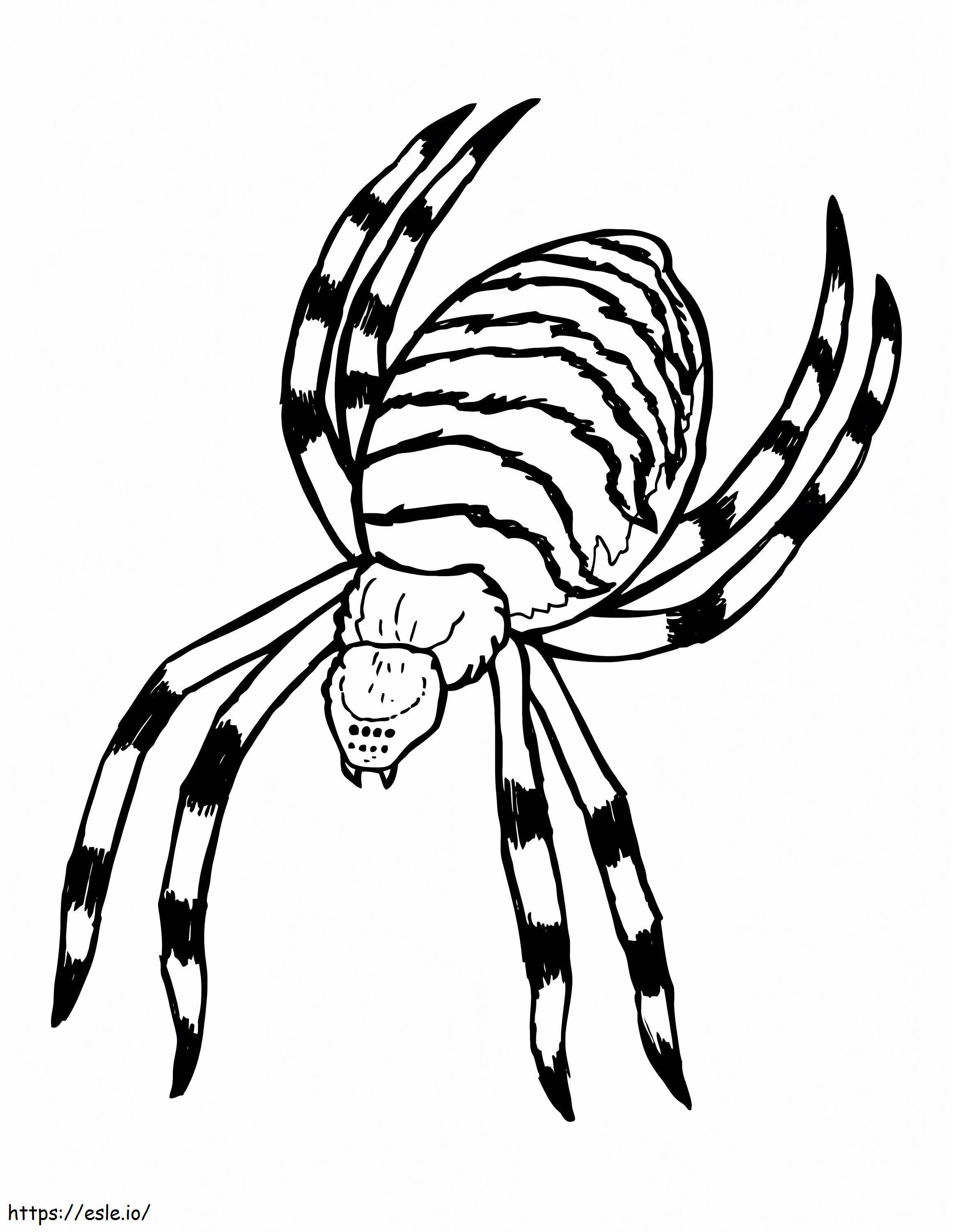 Coloriage Araignée effrayante à imprimer dessin
