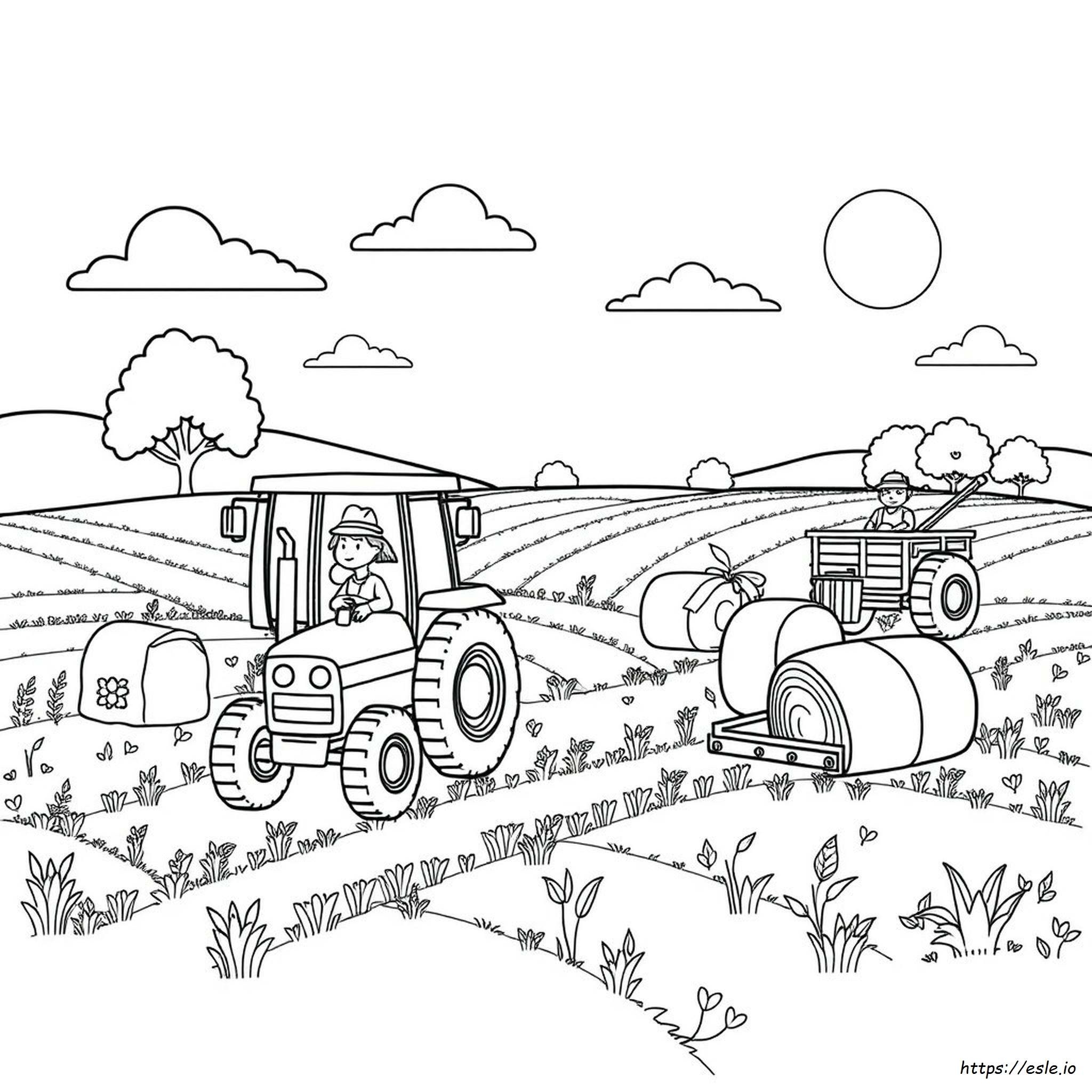 Harvest Colouring Pictures