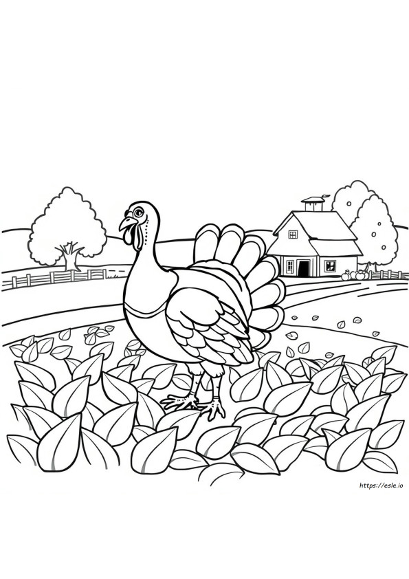 Mal Turkey Ausmalbild