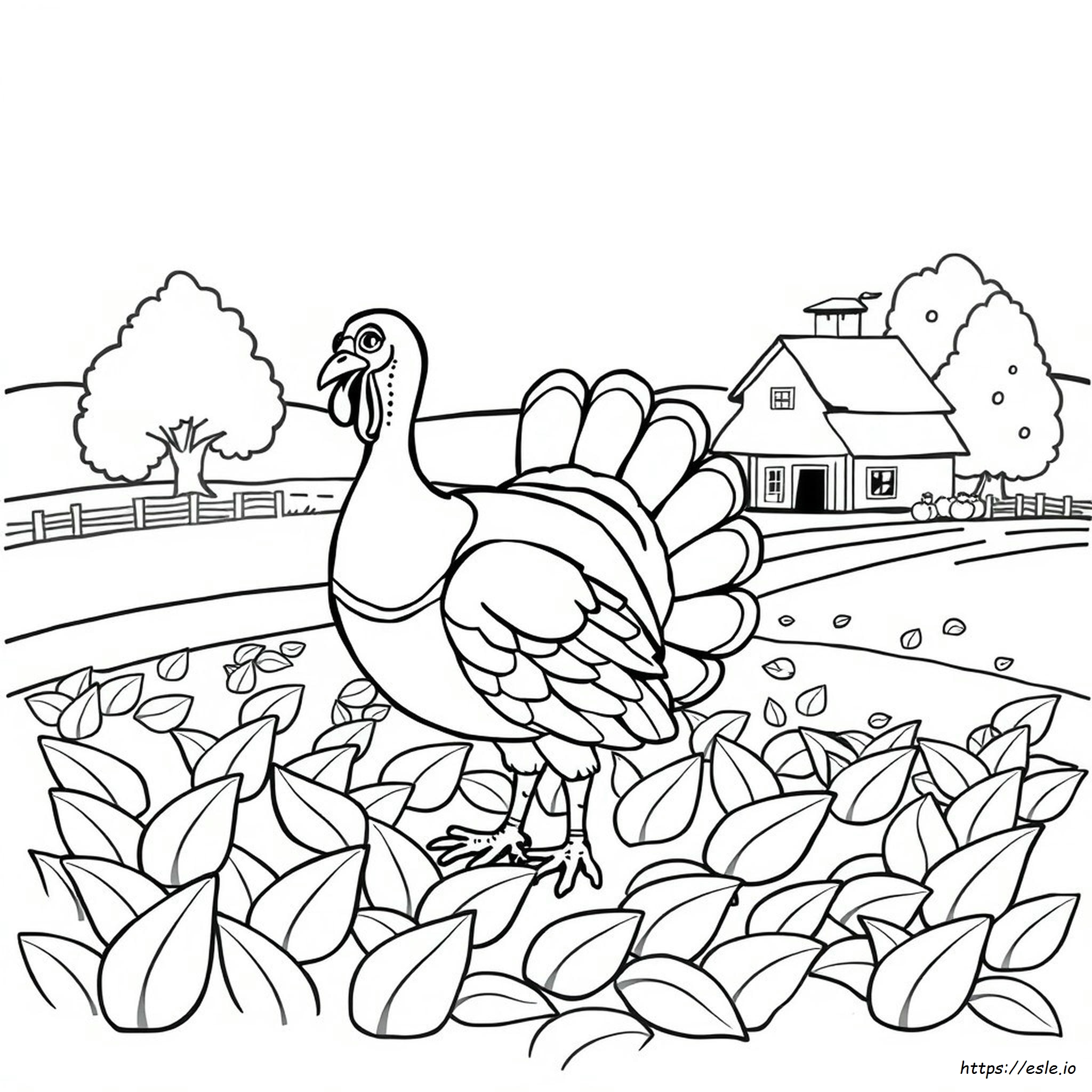 Color A Turkey Coloring Page