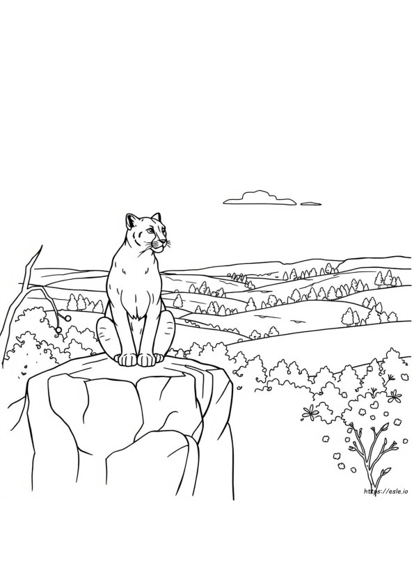 Puma Színező Oldalak